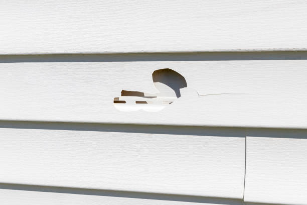 How To Choose The Right Materials for Your Siding Installation in 'Bristol, WI